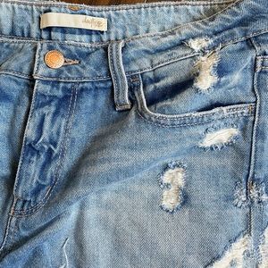 Daytrip denim shorts